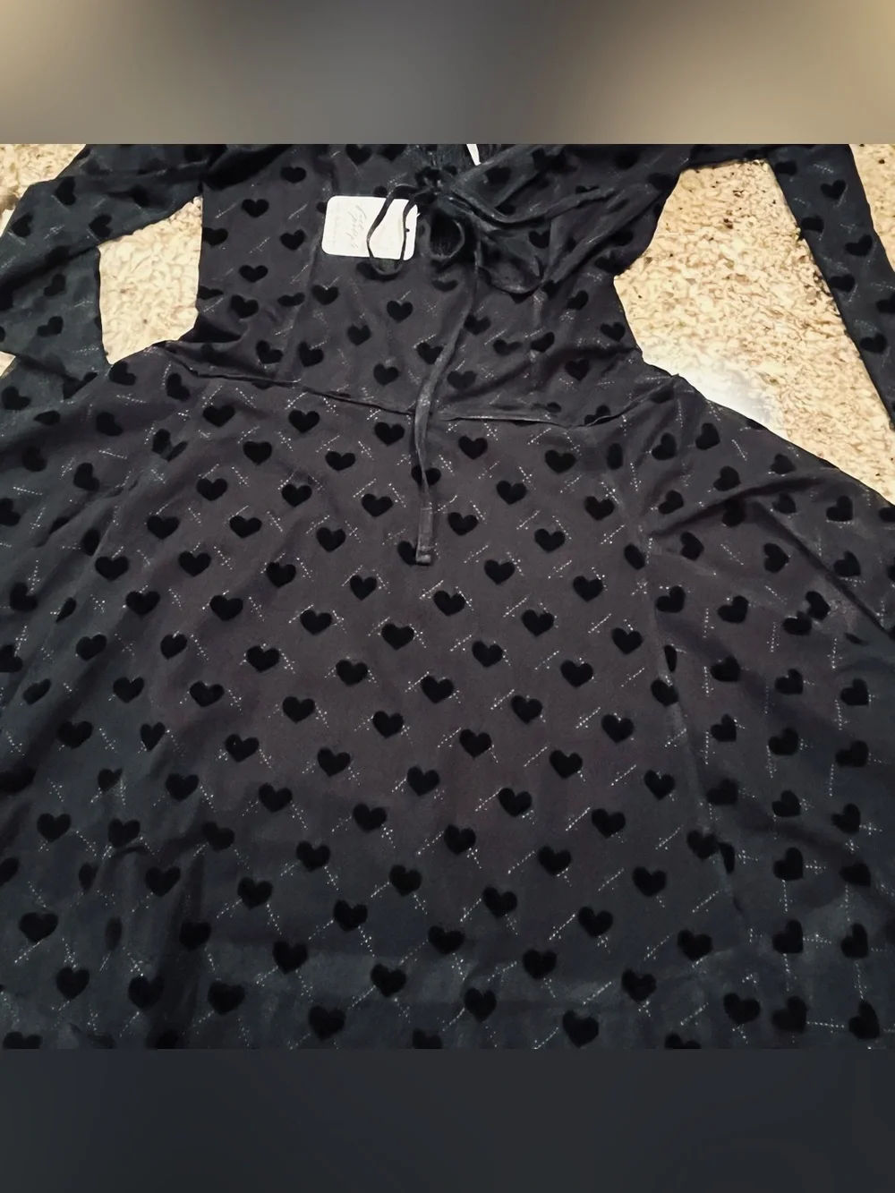 NWT Free People Sway With Me Flocked Mini Dress